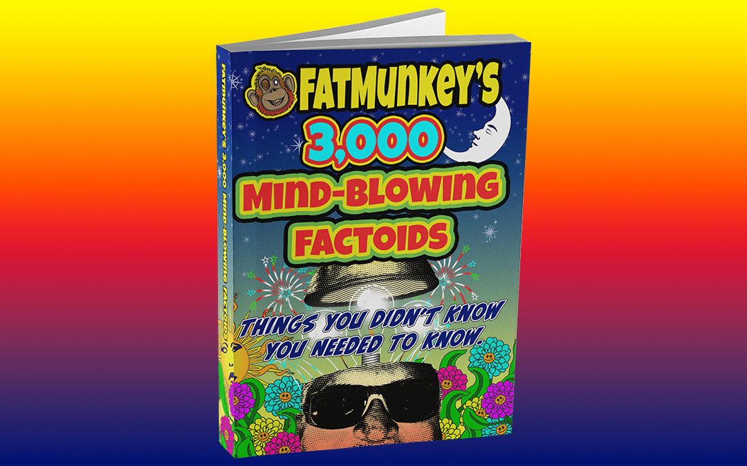 Image of 3000 Mind-Blowing Factoids Front Cover - for the Trivia Challenge Quiz Page