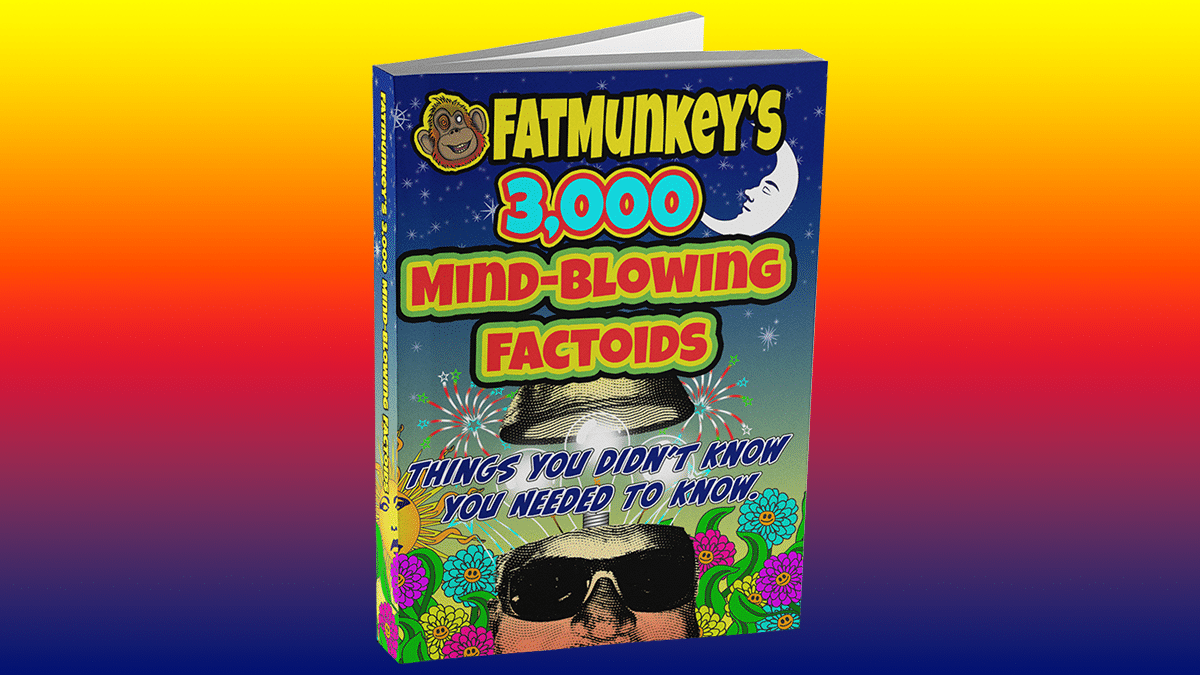 Image Of 3000 Mind-Blowing Factoids Front Cover - For The Challenge Quiz Page